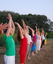 Yogamrita, Ecole de Yoga et d'Ayurveda image 2