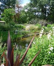 Puyau Paysages image 8