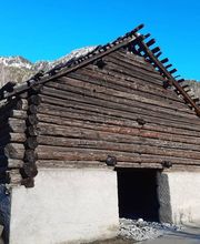 🌲 Segheria Lombardi Sagl 🌲 Bild 7