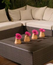 Daniel Oesch Gartenbau AG Bild 9