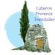 Luberon Provence Immobilier