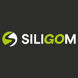 SILIGOM - AUTODRIVER