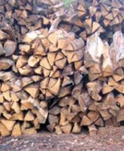 Guilloteau François image 2