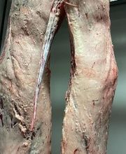 GRANJA ECOLÓGICA CASSOVALL imagen 7