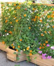 Duriaux Loic image 1