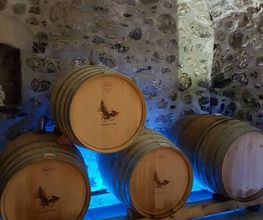 Badan Vins Bild 10