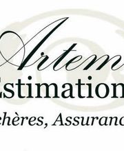 Artémis Estimations Expert Objets d’art Compiègne image 5