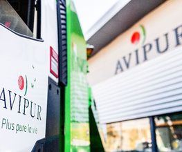 Avipur image 10