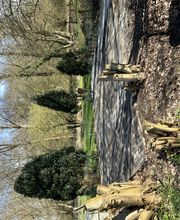 Pflasterarbeiten inkl. L- Stein