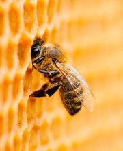 IB SERVICES SA Bild 5