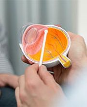 Argus Augen AG Bild 8