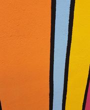 CEI Patosos imagen 2