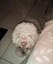 Le Monde de Sultan image 2