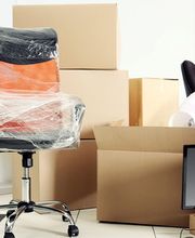 von der Beck Umzüge Bild 2