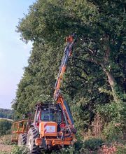 Gaudefroy Débroussaillage SAS image 9