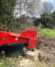 LEAF PAYSAGE image 4