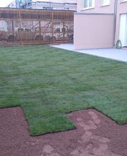 Rollrasen verlegen Herbst