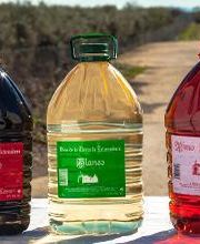 Cooperativa del Campo San Isidro imagen 15