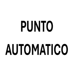 Punto Automatico logo