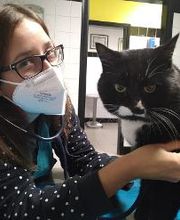 Ospedale Veterinario Ardenza immagine 4