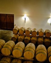 VIGNOBLES MARCEL PETIT image 2