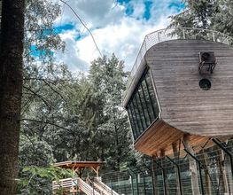 Tree Inn - Das Baumhaushotel Bild 1