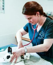 Clinique vétérinaire de Saint-Aquilin-de-Pacy - Sevetys image 4