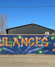 Ambulances 2000 image 18