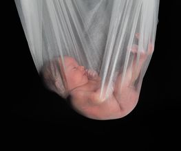 csp Photodesign - C. Schramm-Pose - Fotograf Bild 5