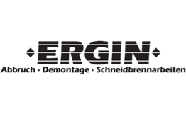 Ergin