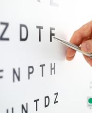 Optik Homann Bild 4