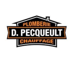 Pecqueult David image 1
