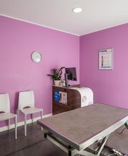 Clinique vétérinaire de Saint-Affrique - Sevetys image 8