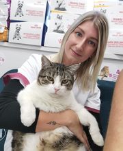 Cabinet Vétérinaire Karen Charlet image 4