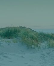 Bestattungshaus Schönfeld GmbH Bild 5