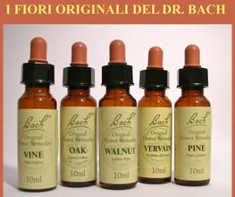 Farmacia Solari Bild 3