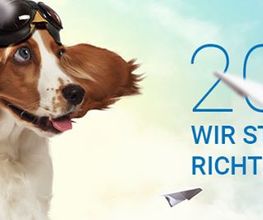 Shopware Agentur Web Labels: Full-Service Web Agentur Bild 12
