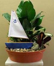 Swan Floral & Gift Shop image 2