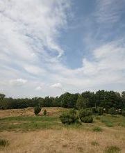 Hotel am Waldbad Bild 11