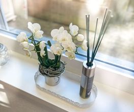 Hair&Nails Patrizia Karner Bild 12