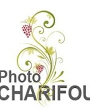 Photo Service Outrebon Photographe Identité Ants image 1