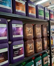 Jungle Paradise image 7