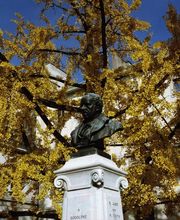 Gregorc, de Candolle & Arnbäck, Notaires Bild 1