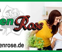 Küchen Rose Bild 5
