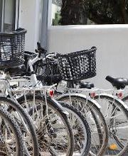 Camping Homair - La Grainetière image 3