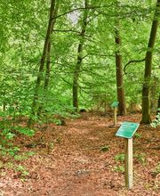 FriedWald Bremervörde Bild 7