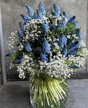 Köpfer Blumenhaus GmbH Bild 6