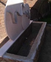 Lallana Pol imagen 3