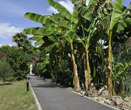 Jardin d'Arcy image 12