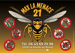 Max la Menace 21
